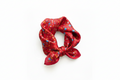 Natural Mulberry Silk Square Scarf - Red Floral Botanical Pattern 70x70cm - Scarves4you